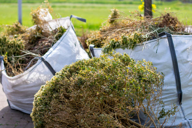 Best Affordable Junk Removal Services  in Lithonia, GA